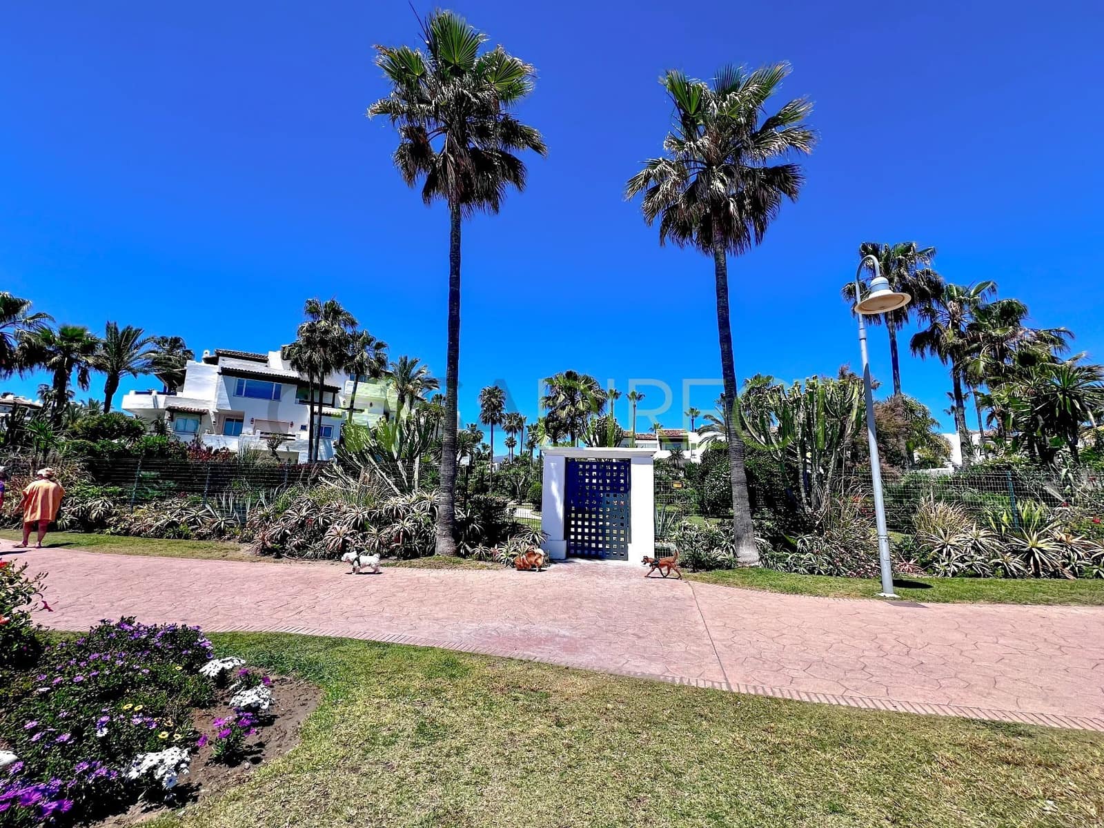 2 soveværelse Lejlighed til leje i Costalita med swimmingpool garage - € 2.280 (Ref: 8278376)