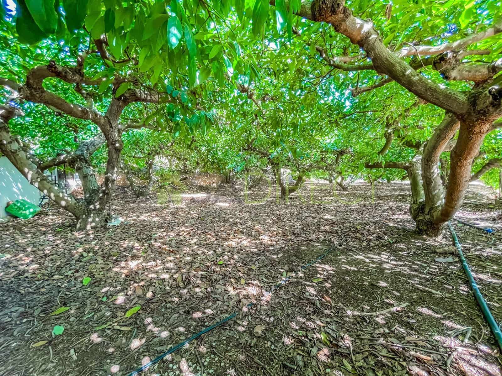 3 soverom Villa til salgs i Velez-Malaga med svømmebasseng garasje - € 450 000 (Ref: 8430197)