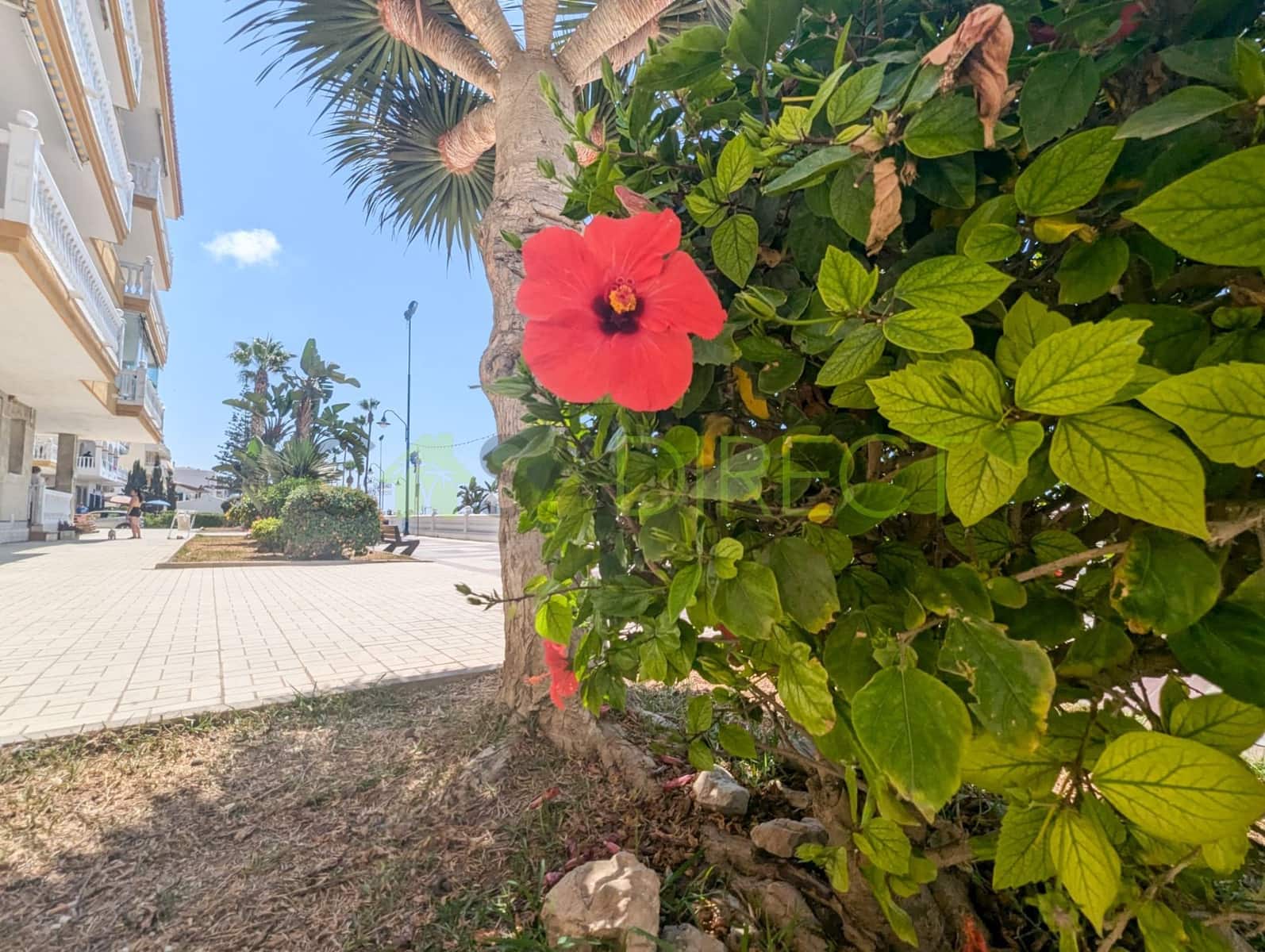 3 soverom Leilighet til leie i El Morche - € 870 (Ref: 8445271)