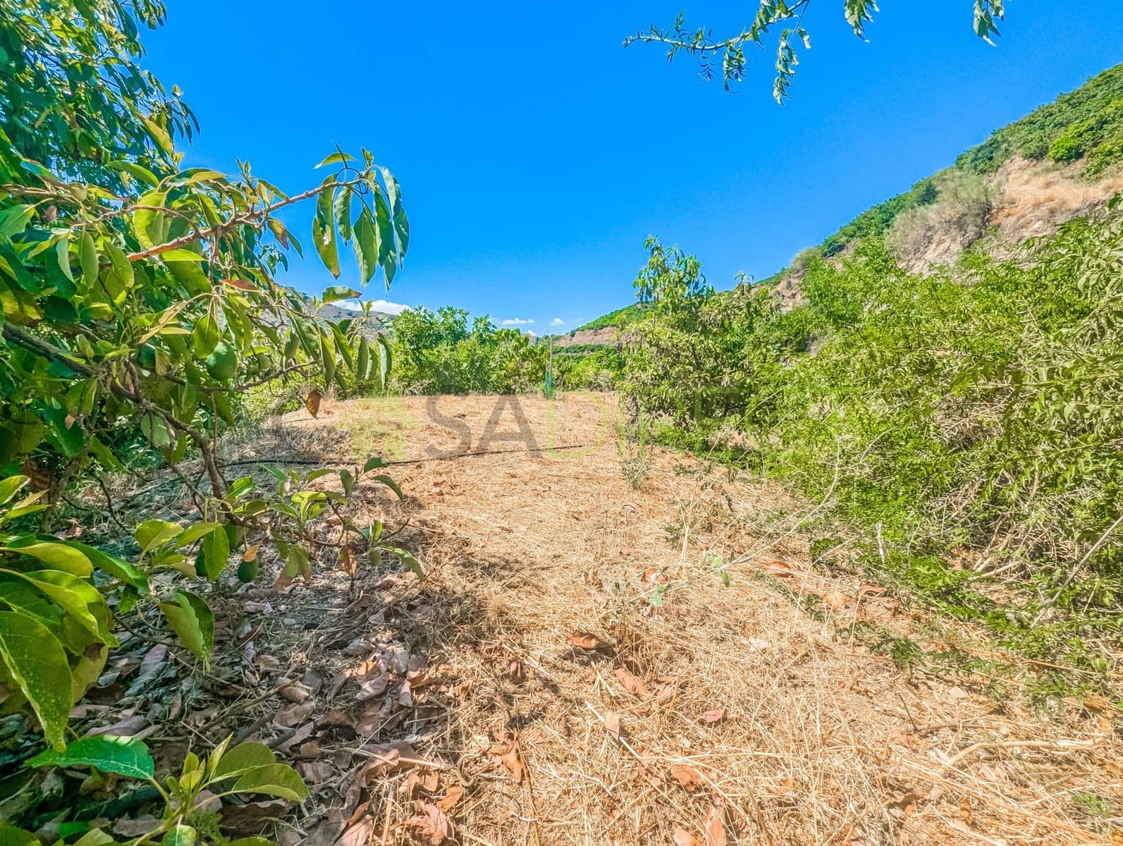 5 sypialnia Finka/Dom wiejski na sprzedaż w Velez-Malaga z basenem garażem - 393 750 € (Ref: 8484409)