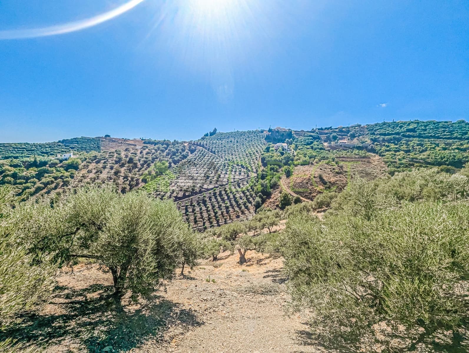 Grunde uden byggetilladelser til salg i Frigiliana - € 48.000 (Ref: 8514174)