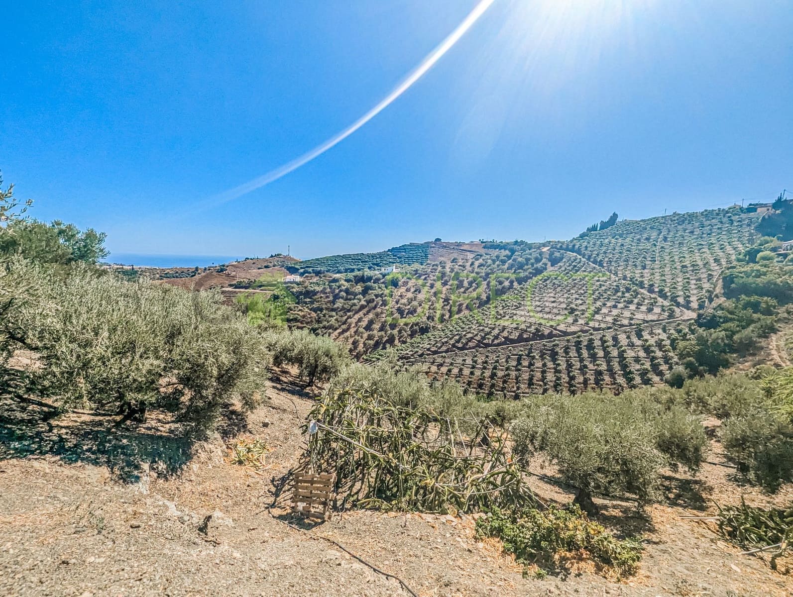 Grunde uden byggetilladelser til salg i Frigiliana - € 48.000 (Ref: 8514174)