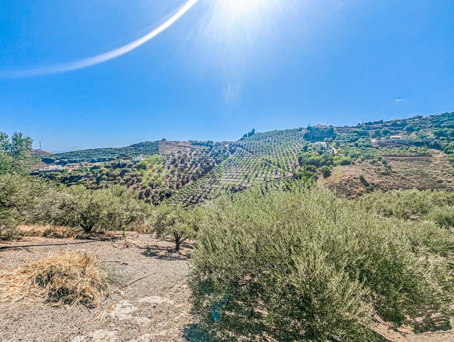 Grunde uden byggetilladelser til salg i Frigiliana - € 48.000 (Ref: 8514174)