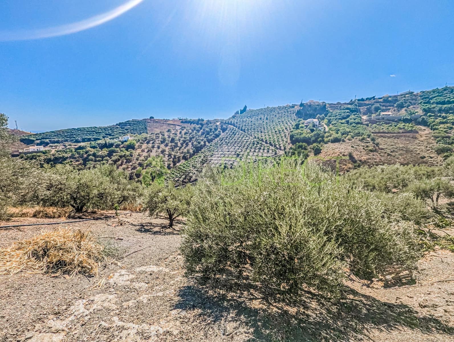 Grunde uden byggetilladelser til salg i Frigiliana - € 48.000 (Ref: 8514174)