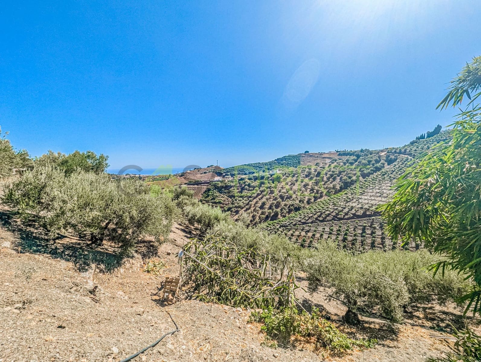 Grunde uden byggetilladelser til salg i Frigiliana - € 48.000 (Ref: 8514174)