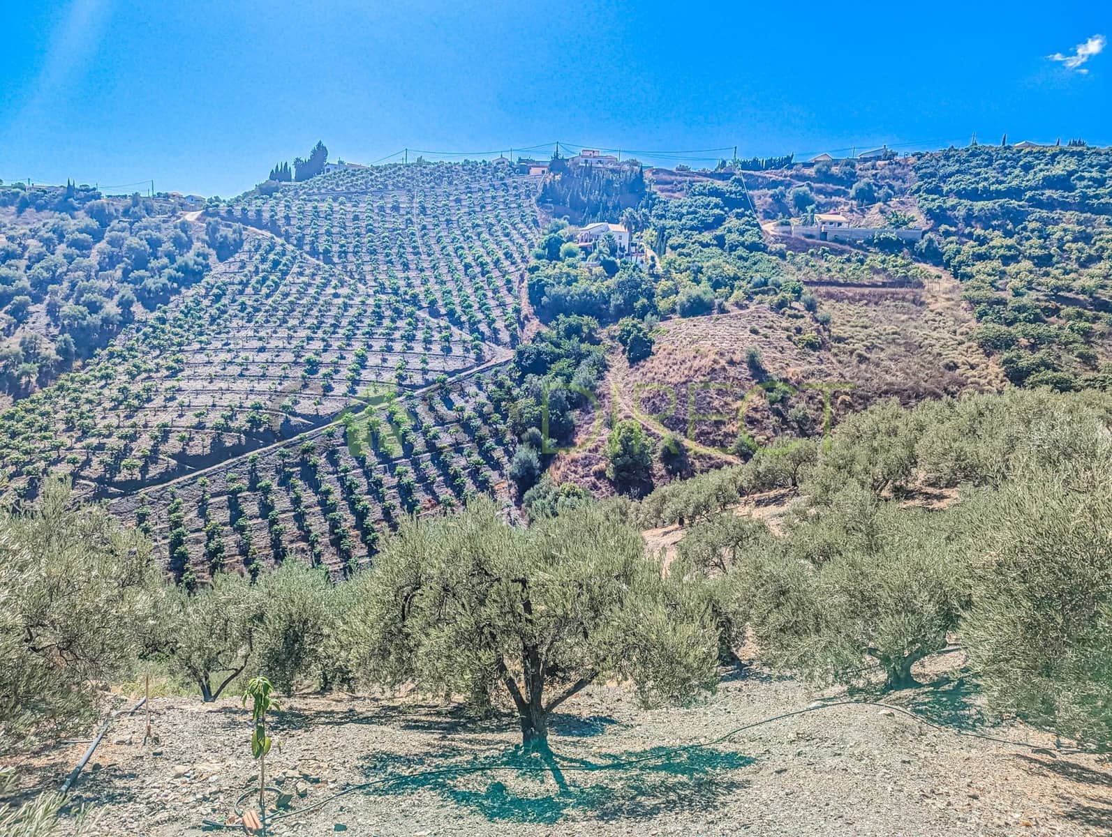 Grunde uden byggetilladelser til salg i Frigiliana - € 48.000 (Ref: 8514174)