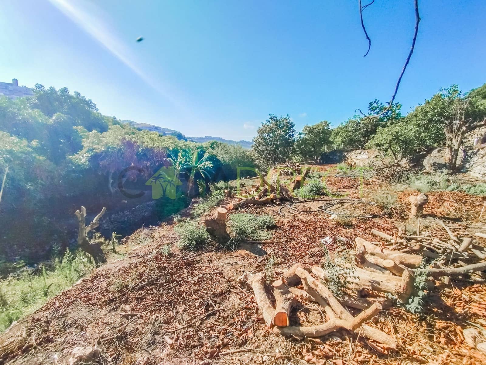 Grunde uden byggetilladelser til salg i Frigiliana - € 24.000 (Ref: 8518967)