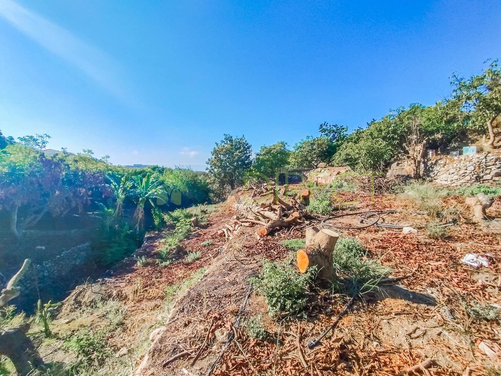 Grunde uden byggetilladelser til salg i Frigiliana - € 24.000 (Ref: 8518967)