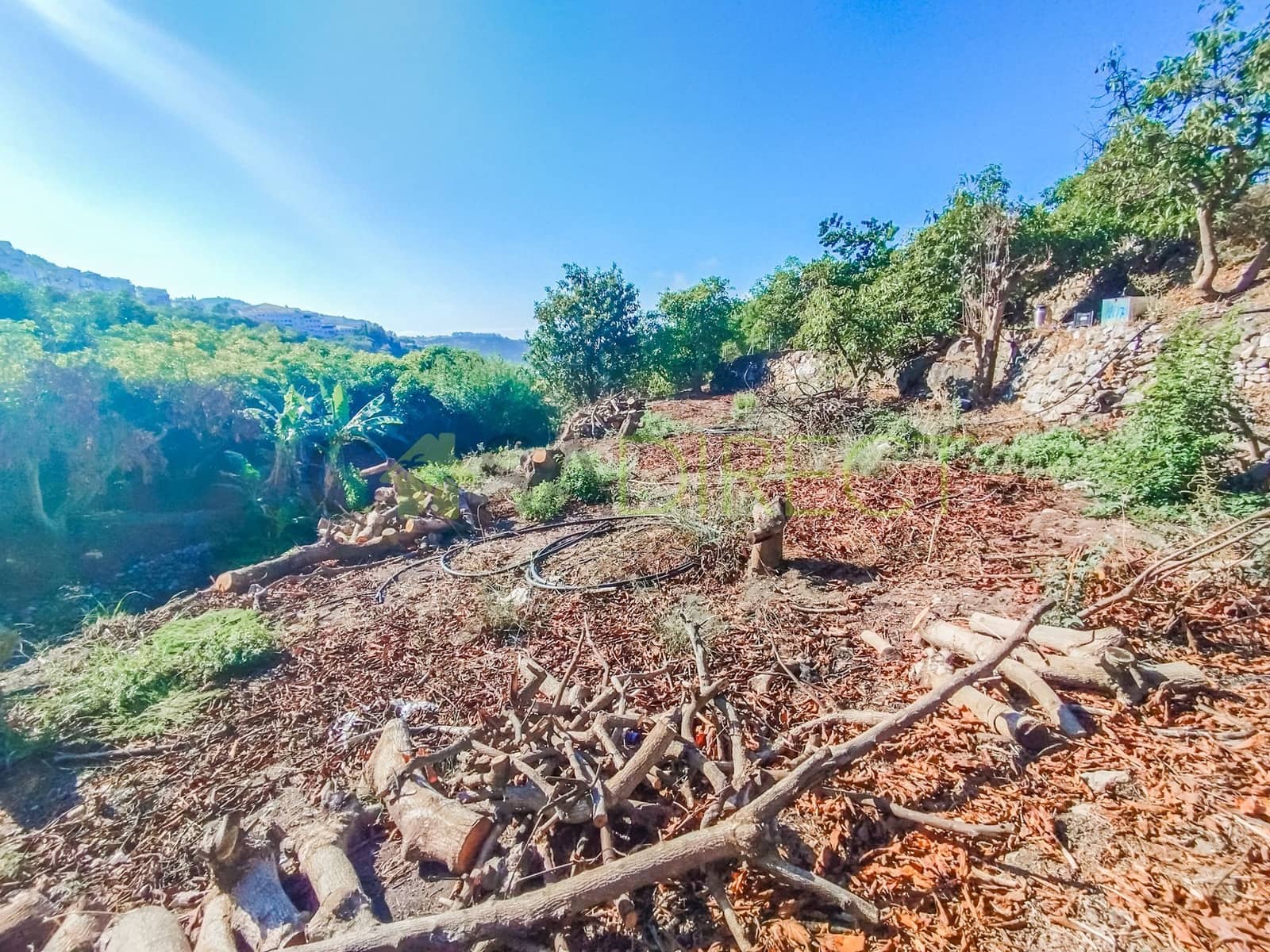 Grunde uden byggetilladelser til salg i Frigiliana - € 24.000 (Ref: 8518967)