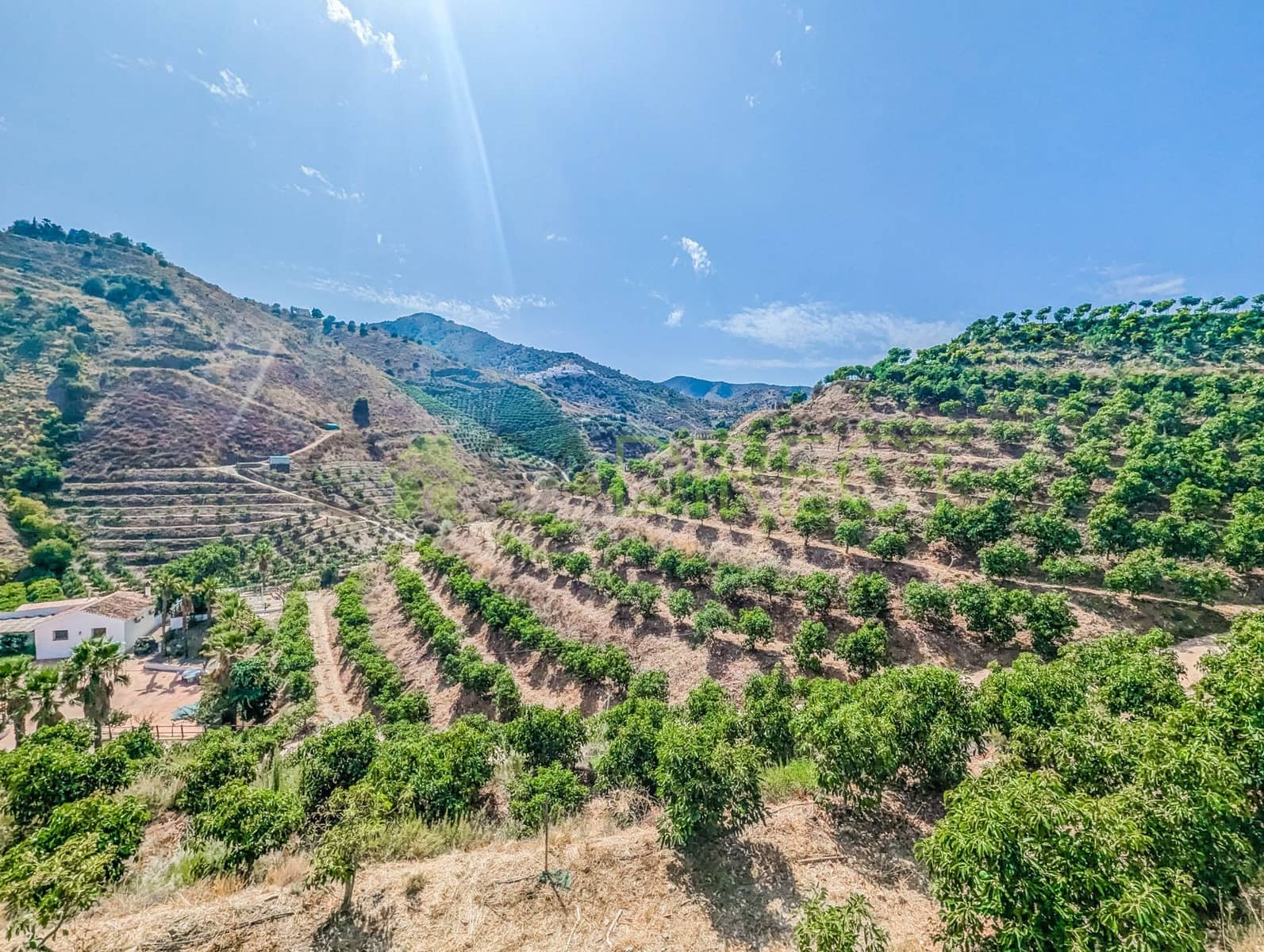 6 soveværelse Finca/Landehus til leje i Almachar med swimmingpool - € 1.500 (Ref: 8541865)