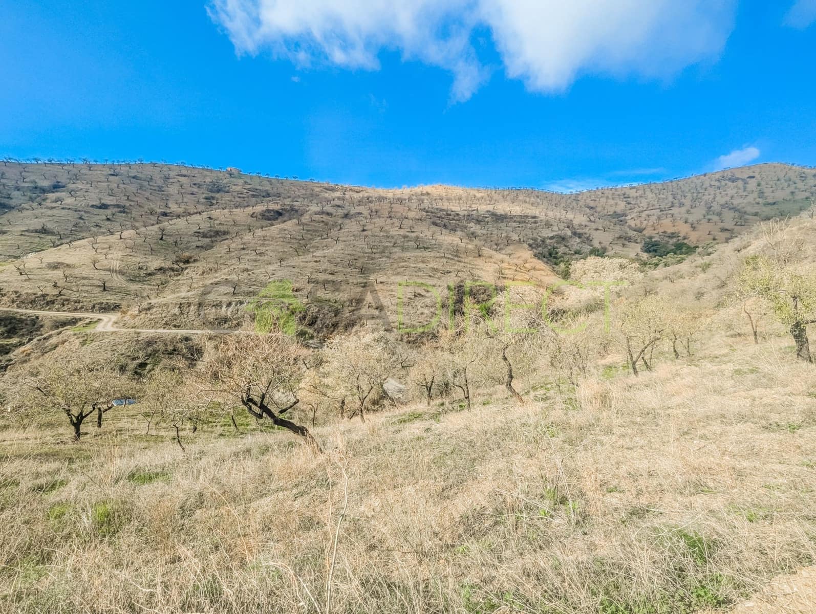 Finca/Herregård til salgs i Albunol - € 722 720 (Ref: 8689252)