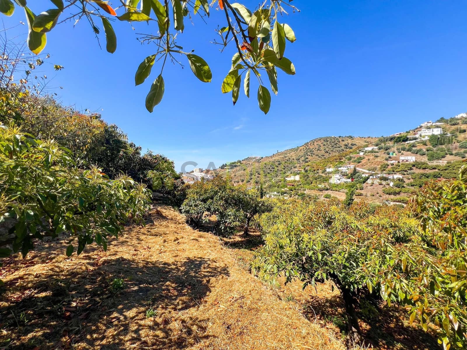 1 slaapkamer Finca/Landhuis te koop in Torrox - € 178.500 (Ref: 8998534)