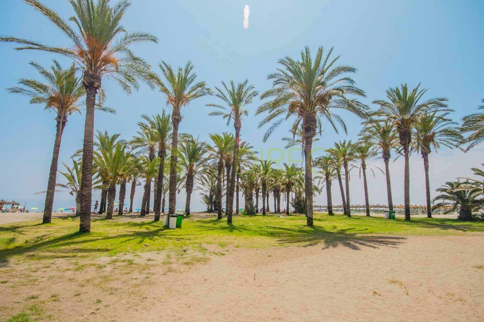 1 bedroom Apartment for rent in Torremolinos with pool - € 1,320 (Ref: 9153616)