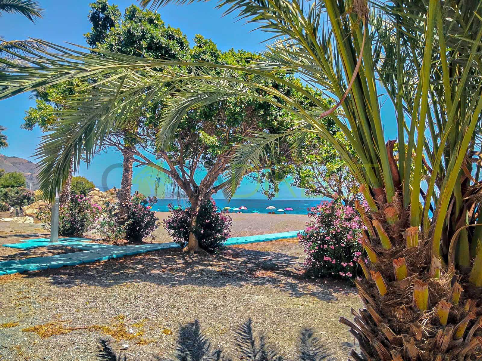 2 bedroom Apartment for rent in Almunecar with pool - € 980 (Ref: 9410606)