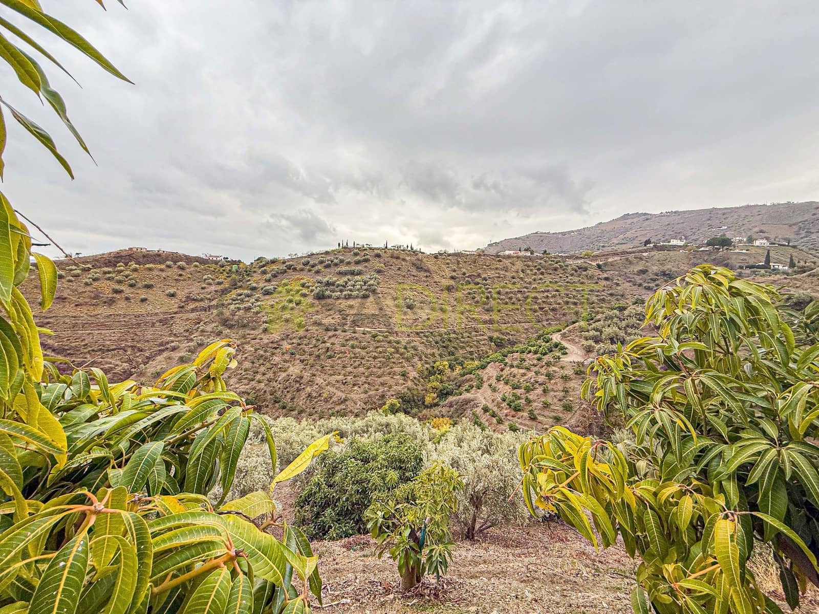 3 sypialnia Finka/Dom wiejski do wynajęcia w Canillas de Albaida z basenem garażem - 1 400 € (Ref: 9429420)