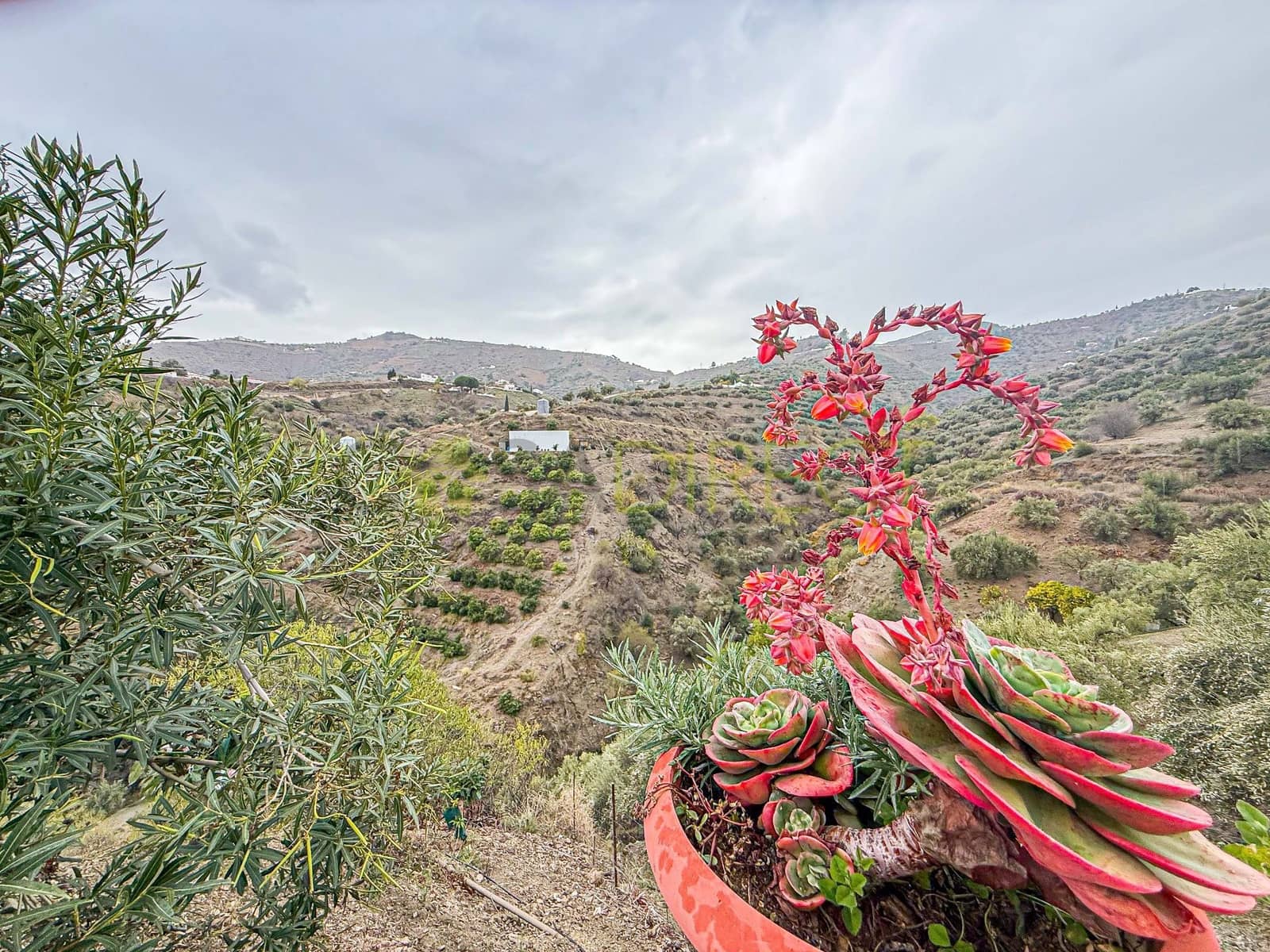 3 sypialnia Finka/Dom wiejski do wynajęcia w Canillas de Albaida z basenem garażem - 1 400 € (Ref: 9429420)