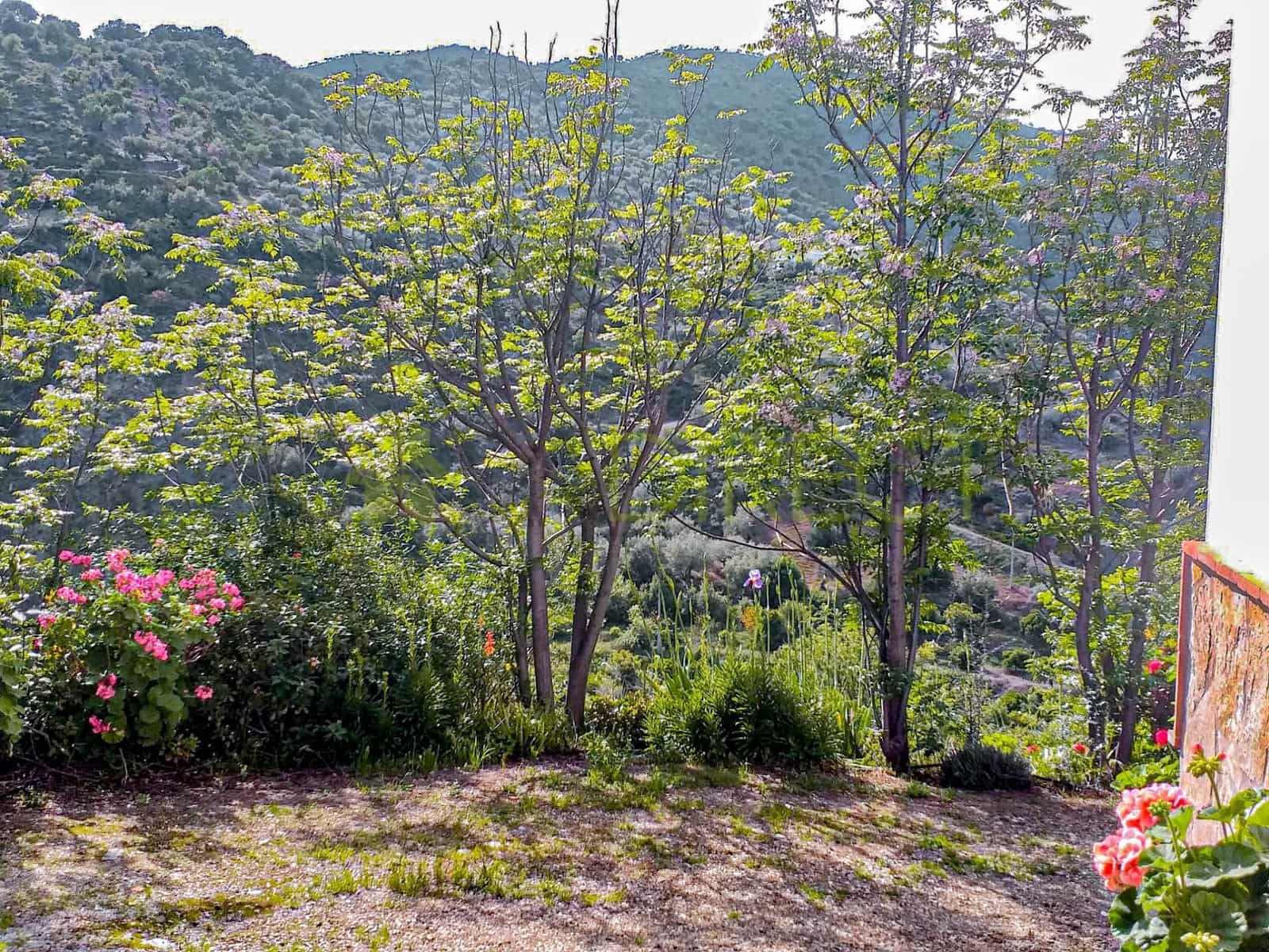 5 bedroom Finca/Country House for rent in Riogordo with pool garage - € 1,550 (Ref: 9550820)