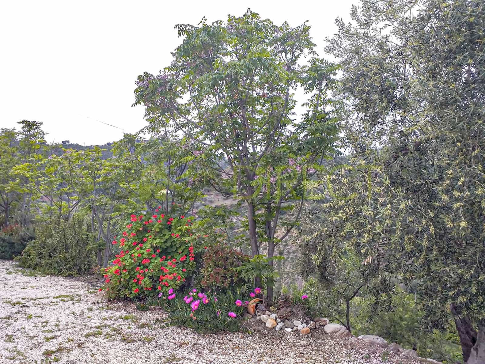 5 bedroom Finca/Country House for rent in Riogordo with pool garage - € 1,550 (Ref: 9550820)