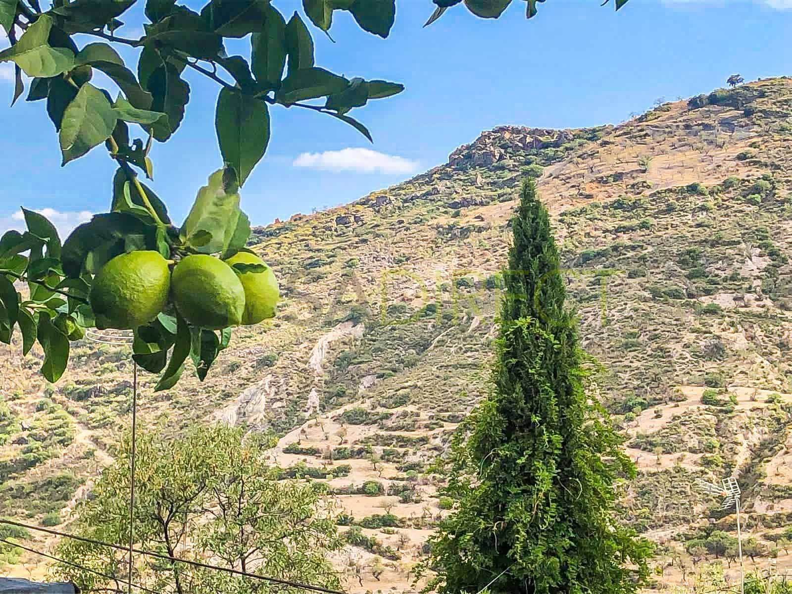 4 bedroom Finca/Country House for rent in Murtas with pool - € 550 (Ref: 9686029)