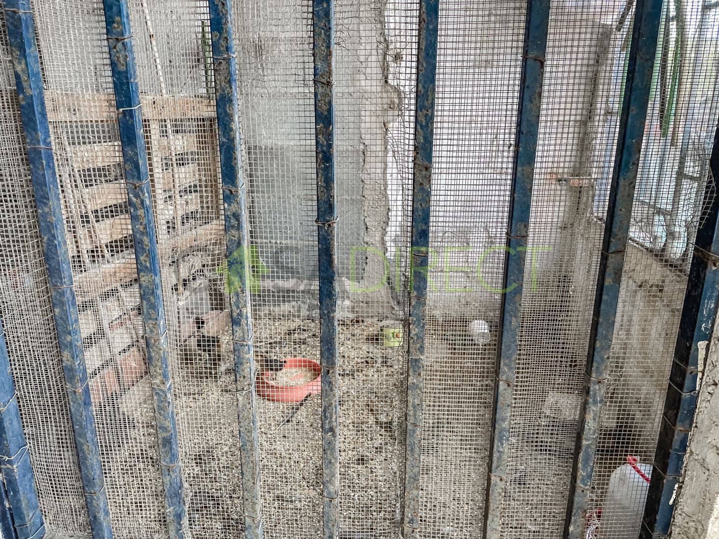 4 Zimmer Villa zu verkaufen in Motril mit Pool Garage - 336.000 € (Ref: 9694719)