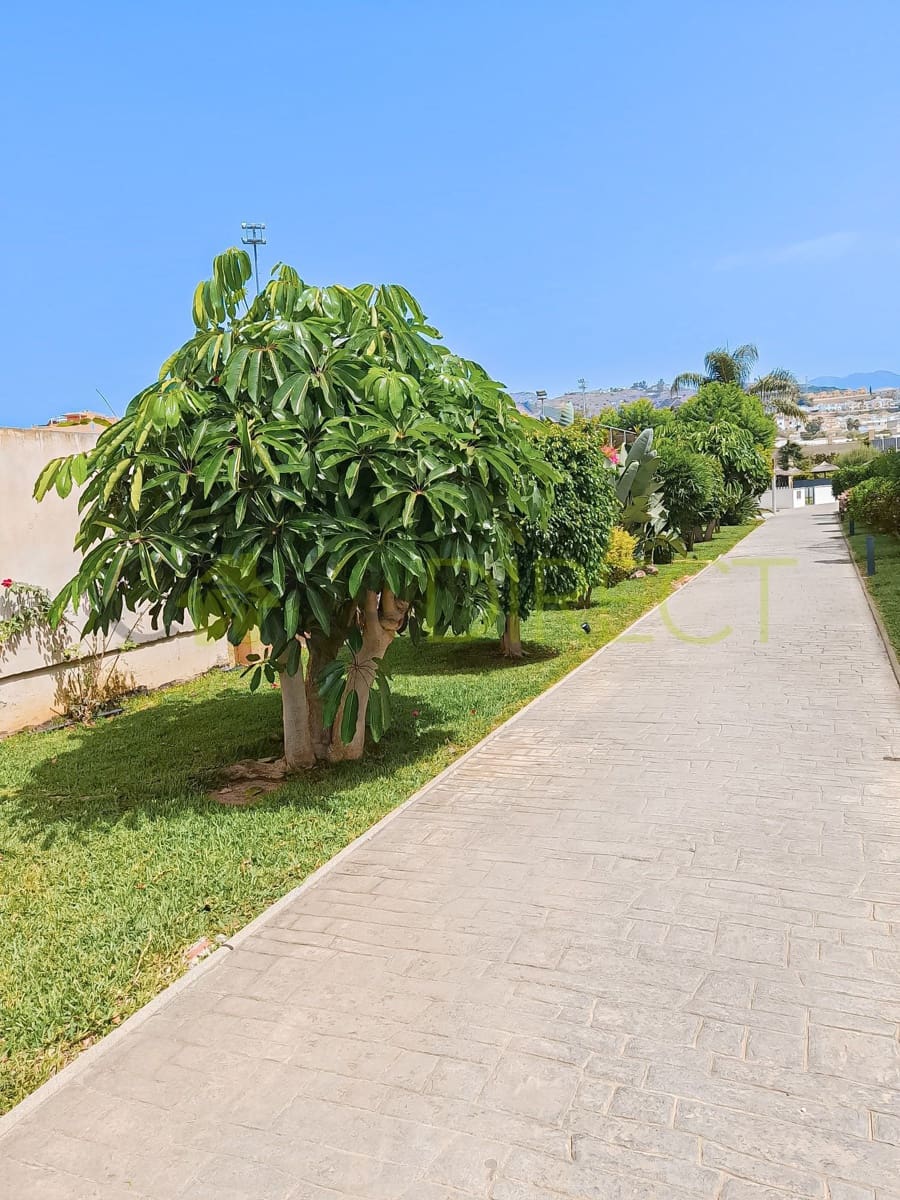 1 quarto Apartamento para arrendar em Torrox-Costa com piscina garagem - 720 € (Ref: 9978143)