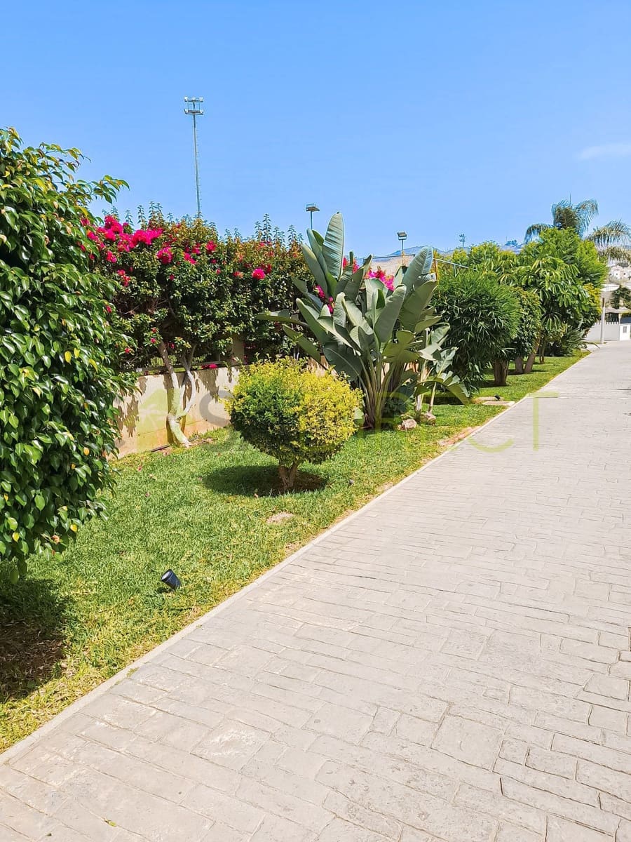 1 quarto Apartamento para arrendar em Torrox-Costa com piscina garagem - 720 € (Ref: 9978143)