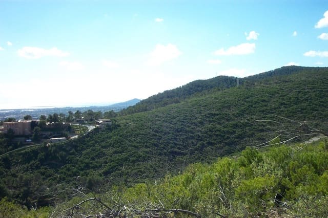 Area Edificabile in vendita in Ibiza-Eivissa città - 3.200.000 € (Rif: 7294998)
