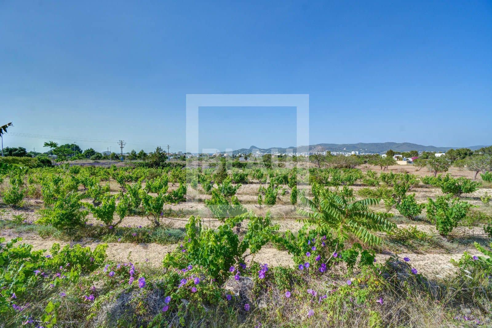 4 slaapkamer Villa te koop in San Jose / Sant Josep de Sa Talaia met garage - € 2.300.000 (Ref: 8386064)