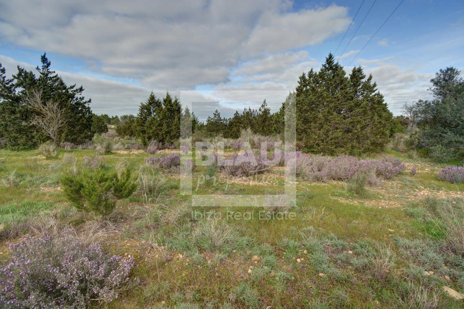 Byggegrund til salg i San Jose / Sant Josep de Sa Talaia - € 1.850.000 (Ref: 8703241)