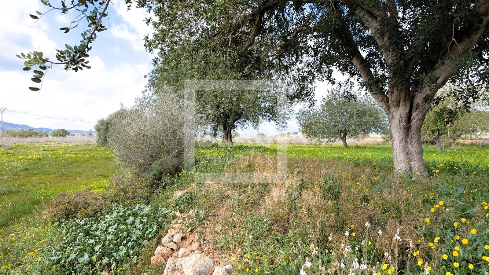 Bouwgrond te koop in Sant Antoni de Portmany - € 750.000 (Ref: 8813622)