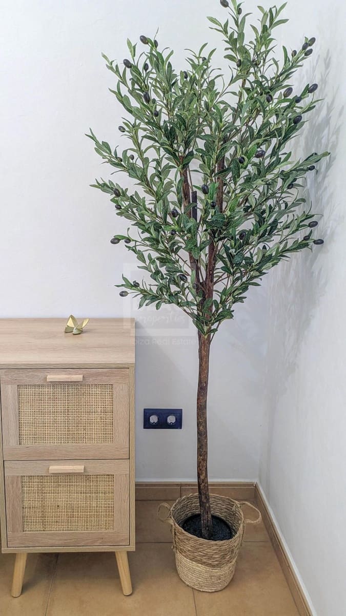 4 soveværelse Villa til leje i Sant Antoni de Portmany med swimmingpool - € 10.500 (Ref: 9525589)