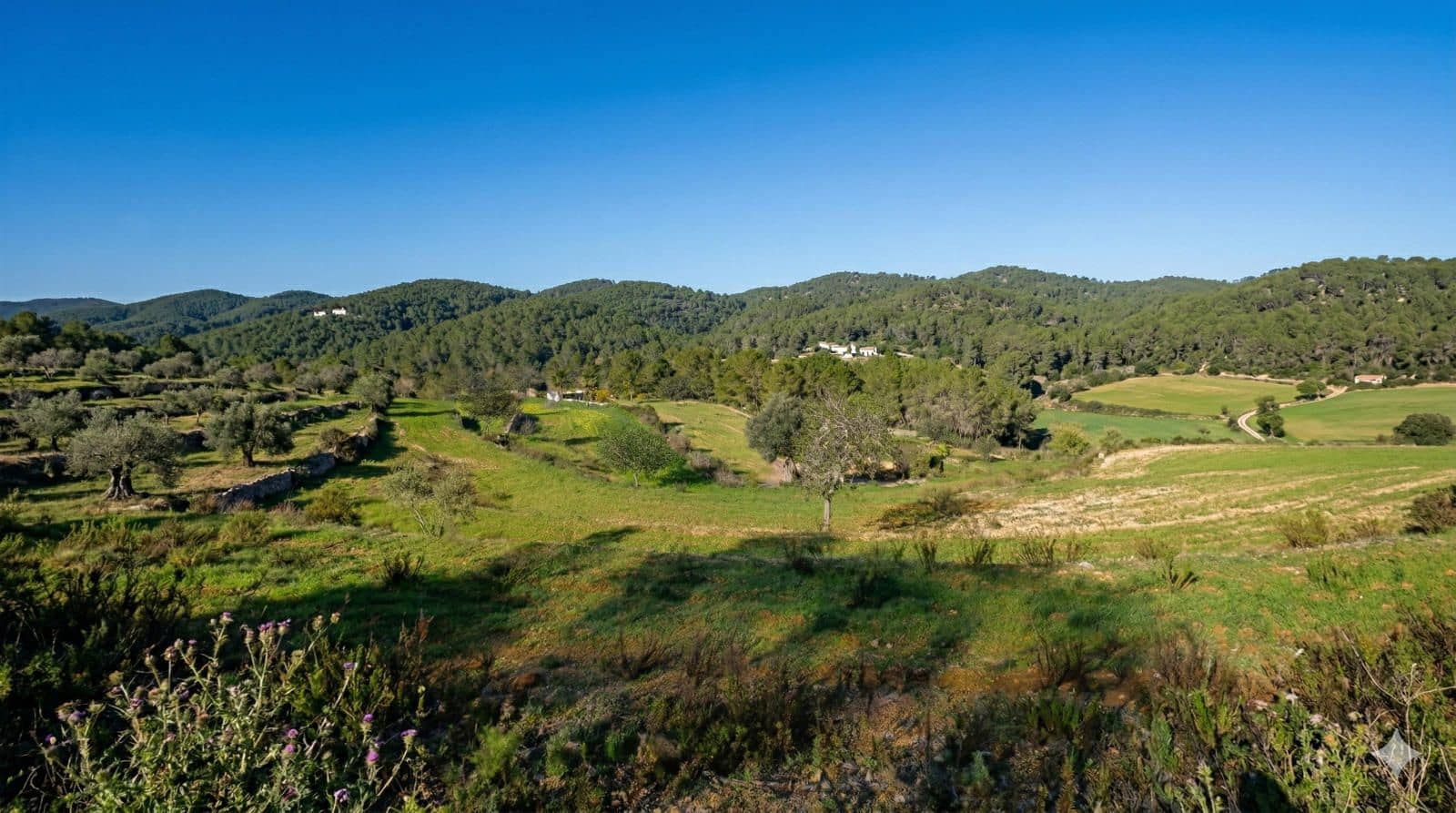 Villa/Maison de 4 chambres à louer à Santa Eulalia / Santa Eularia avec piscine - 10 000 € (Ref: 9758514)