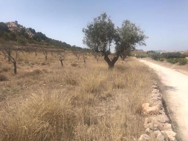 Grond te huur in Abanilla - € 5.241 (Ref: 9007915)