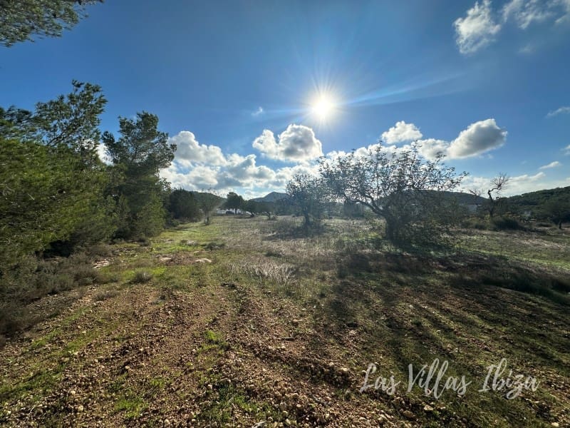 Undeveloped Land for sale in San Jose / Sant Josep de Sa Talaia - € 1,285,000 (Ref: 9341203)