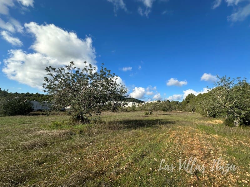 Undeveloped Land for sale in San Jose / Sant Josep de Sa Talaia - € 1,285,000 (Ref: 9341203)