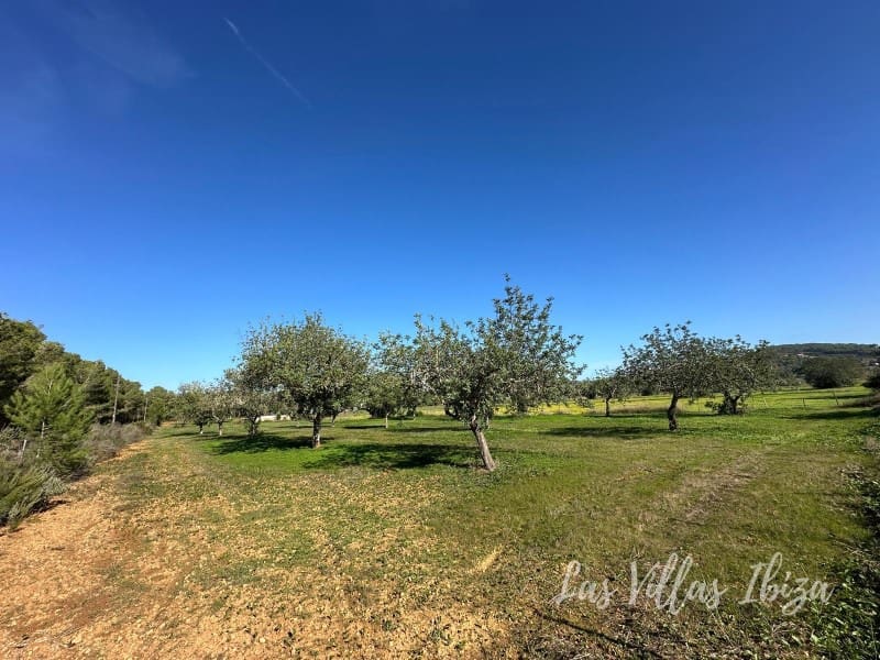 Teren niezagospodarowany na sprzedaż w Santa Gertrudis de Fruitera - 1 165 000 € (Ref: 9406456)