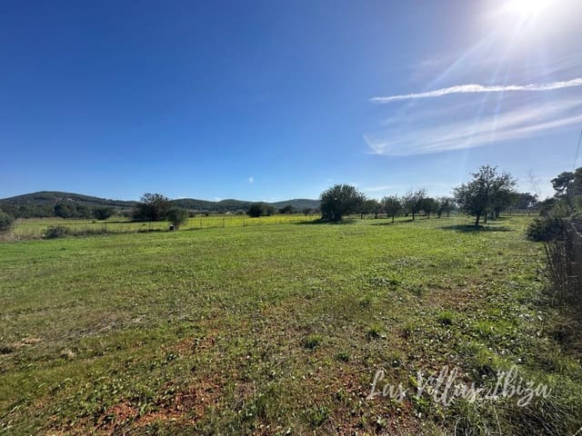 Teren niezagospodarowany na sprzedaż w Santa Gertrudis de Fruitera, Santa Eulalia / Santa Eularia - 1 165 000 € (Ref: 9406456)