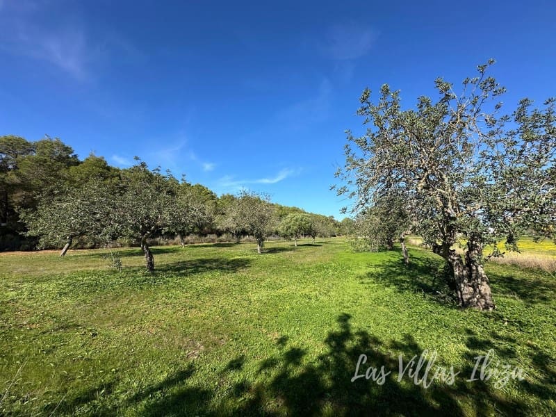 Teren niezagospodarowany na sprzedaż w Santa Gertrudis de Fruitera - 1 165 000 € (Ref: 9406456)