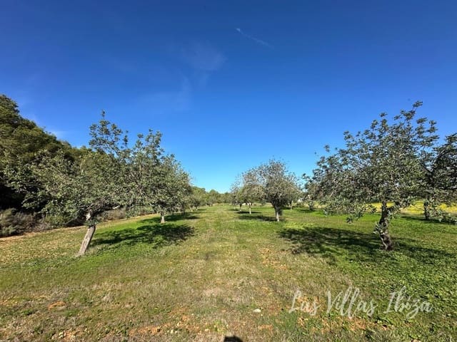 Teren niezagospodarowany na sprzedaż w Santa Gertrudis de Fruitera, Santa Eulalia / Santa Eularia - 1 165 000 € (Ref: 9406456)