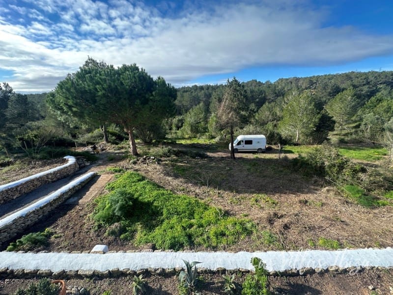 8 camera da letto Villa da affittare in Santa Gertrudis de Fruitera - 9.000 € (Rif: 9639322)