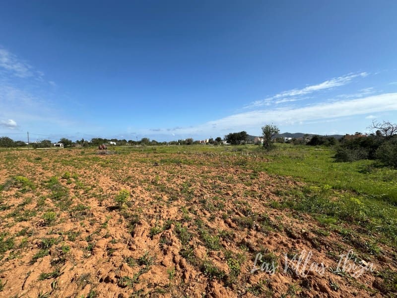 Undeveloped Land for sale in Sant Jordi de Ses Salines - € 1,260,000 (Ref: 9719784)