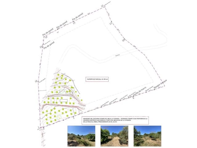 Terreno Non Edificato in vendita in Santa Eulalia / Santa Eularia - 1.800.000 € (Rif: 9777919)