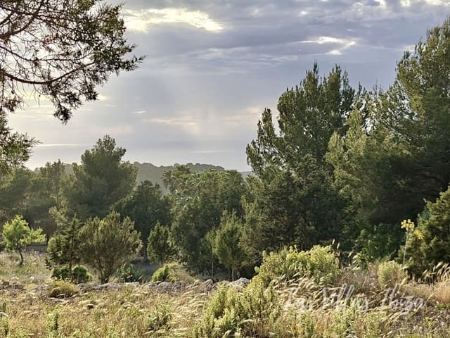Landgrundstück zu verkaufen in Cala Vadella, San Jose / Sant Josep de Sa Talaia - 1.800.000 € (Ref: 9788271)