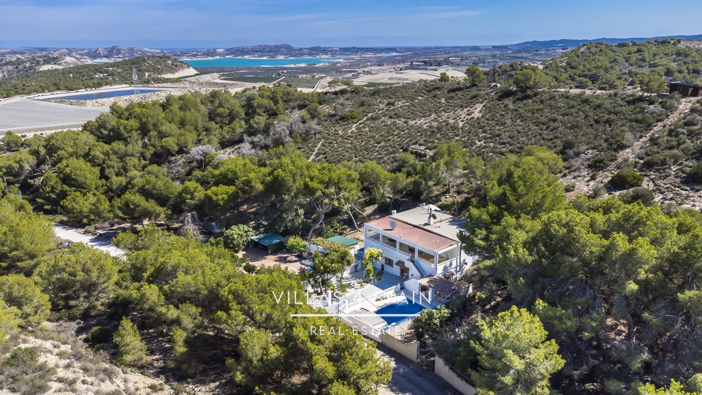 7 bedroom Villa for sale in Desamparados Hurchillo Torremendo