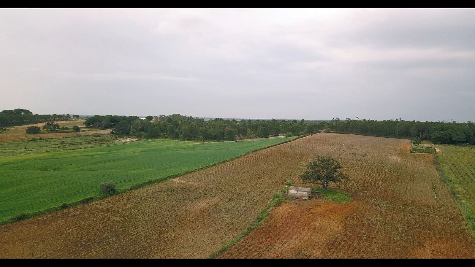 Finca/Landehus til salg i Niebla - € 79.999 (Ref: 8191476)