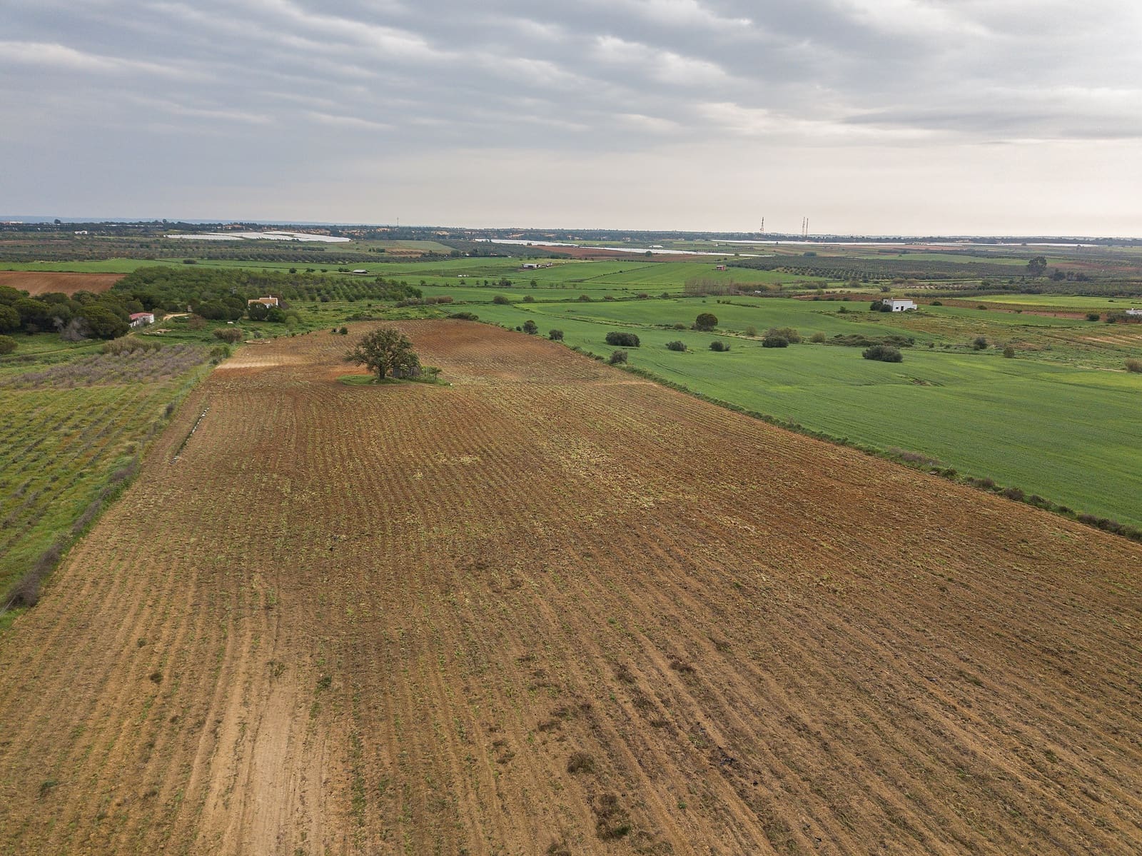 Finca/Landehus til salg i Niebla - € 79.999 (Ref: 8191476)