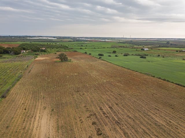 Finca/Landehus til salg i Niebla - € 79.999 (Ref: 8191476)