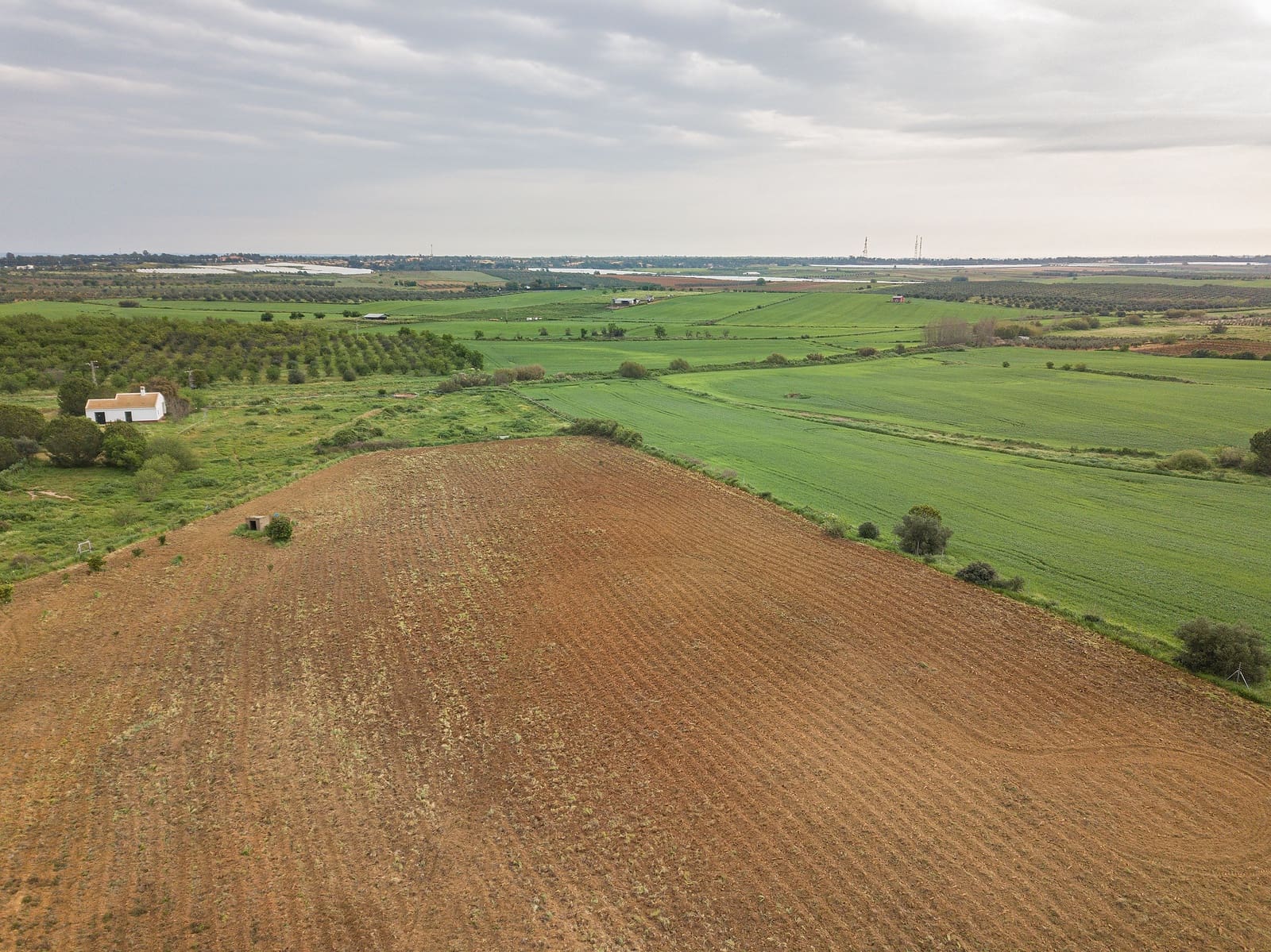 Finca/Landehus til salg i Niebla - € 79.999 (Ref: 8191476)