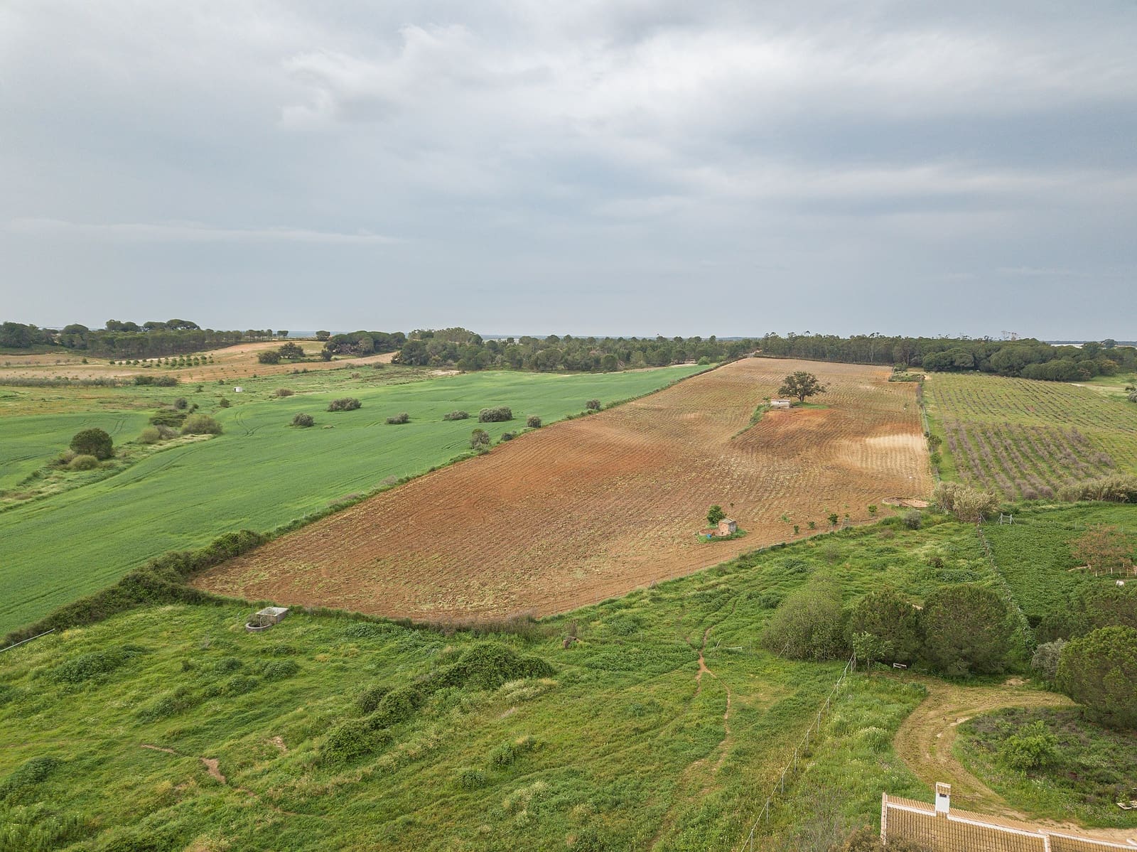 Finca/Landehus til salg i Niebla - € 79.999 (Ref: 8191476)