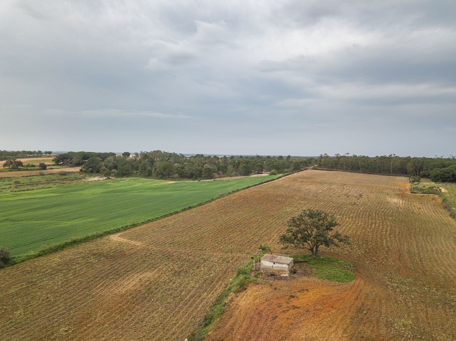 Finca/Landehus til salg i Niebla - € 79.999 (Ref: 8191476)